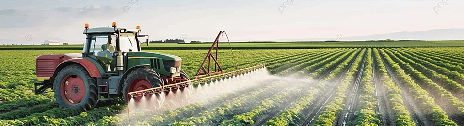 Plant Production Level 2